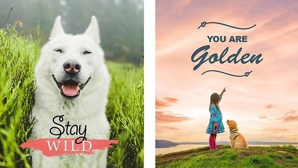 Ecco a voi Adobe Photoshop e Premiere Elements 2021! 26 Photoshop Elements 2021 6001 1